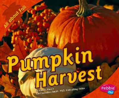 Pumpkin harvest cover image