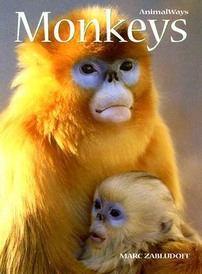 Monkeys  cover image cdn