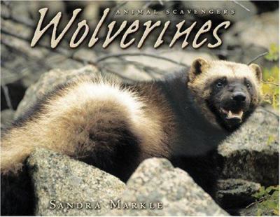 Wolverines  cover image cdn