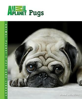 Pugs  cover image cdn