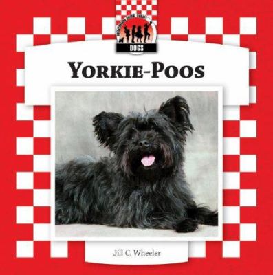 Yorkie-poos  cover image cdn