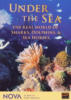 Under the sea the real world of sharks, dolphins and seahorses  cover image cdn
