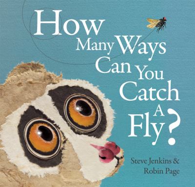 How many ways ... can you catch a fly?  cover image cdn