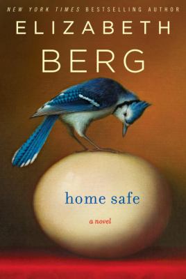 Home safe cover image