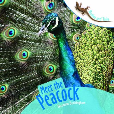Meet the peacock  cover image cdn