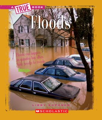 Floods  cover image cdn