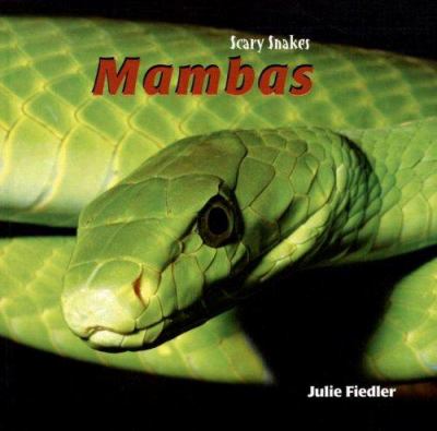 Mambas  cover image cdn