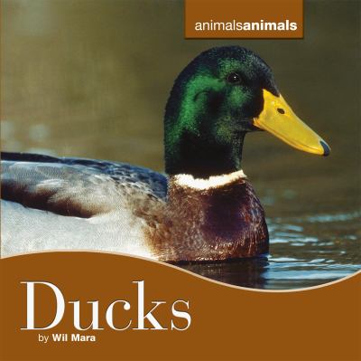 Ducks cover image