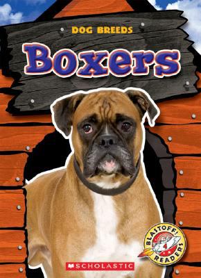 Boxers  cover image cdn