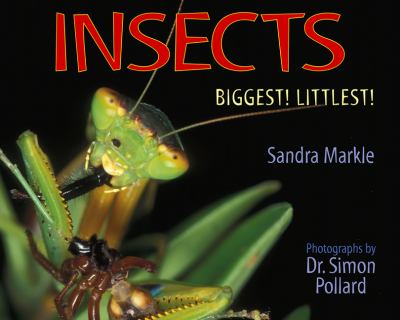 Insects : biggest! littlest!  cover image cdn