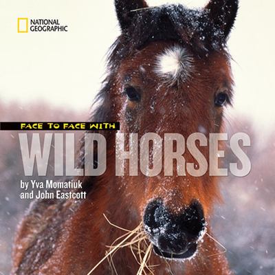 Face to face with wild horses  cover image cdn