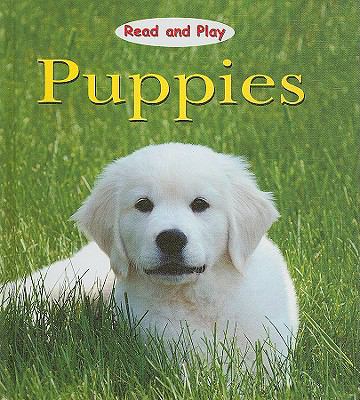 Puppies  cover image cdn