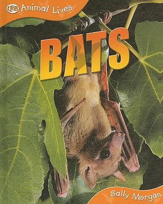 Bats  cover image cdn