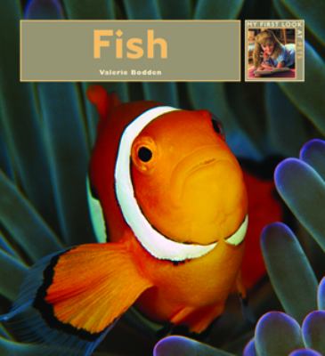 Fish  cover image cdn