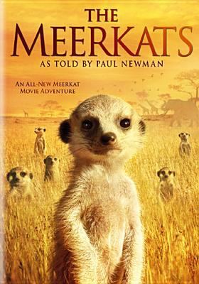 The meerkats cover image cdn