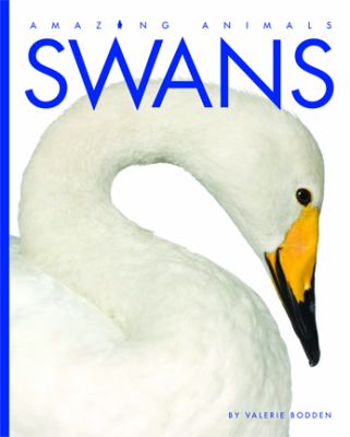Swans  cover image cdn