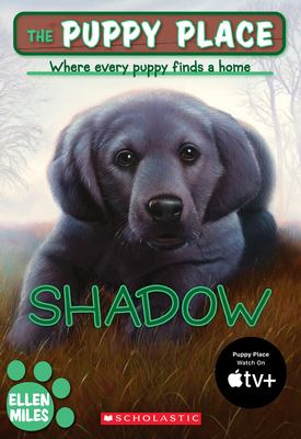 Shadow  cover image cdn