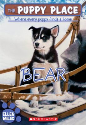 Bear  cover image cdn