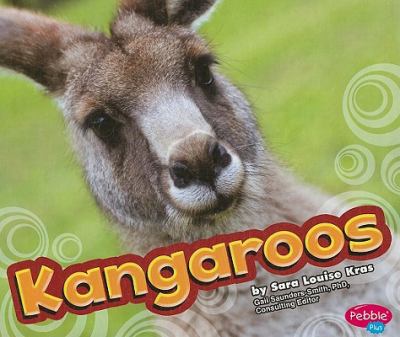 Kangaroos  cover image cdn