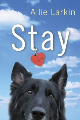 Stay cover image