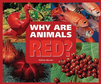 Why are animals red?  cover image cdn