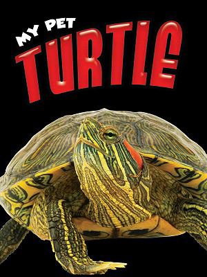 Turtle  cover image cdn