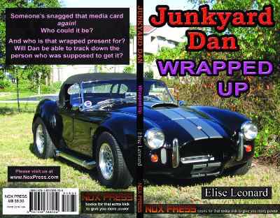 Wrapped up  cover image cdn