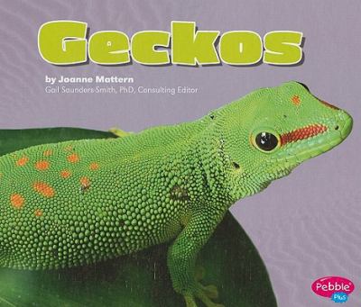 Geckos  cover image cdn