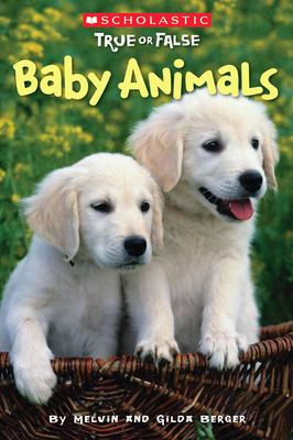 Baby animals  cover image cdn