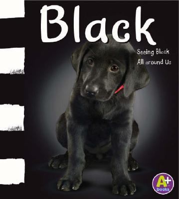 Black : seeing black all around us  cover image cdn