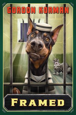 Framed  cover image cdn