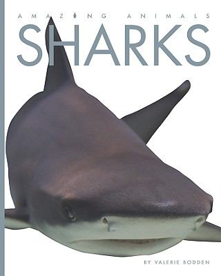 Sharks  cover image cdn