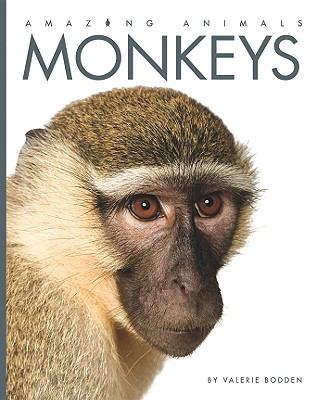 Monkeys cover image