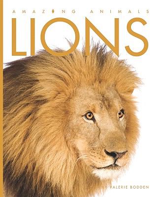 Lions  cover image cdn