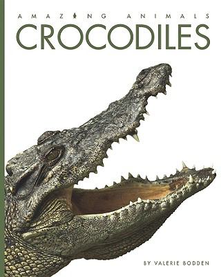 Crocodiles  cover image cdn