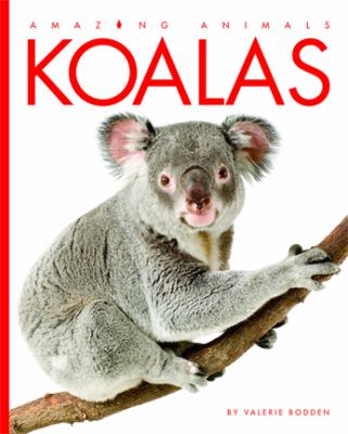 Koalas  cover image cdn