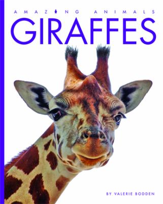Giraffes  cover image cdn