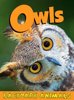 Owls  cover image cdn