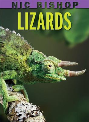 Lizards  cover image cdn