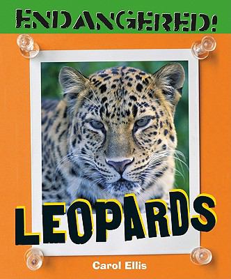 Leopards  cover image cdn
