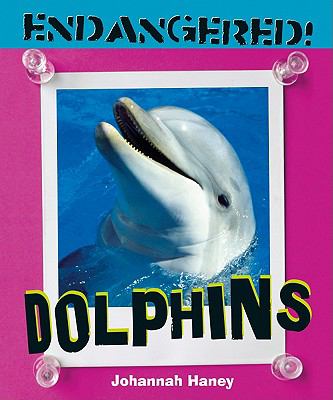 Dolphins  cover image cdn
