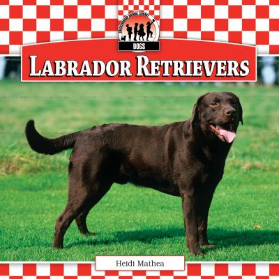 Labrador retrievers  cover image cdn