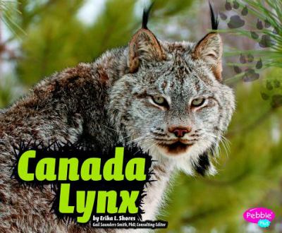 Canada lynx  cover image cdn