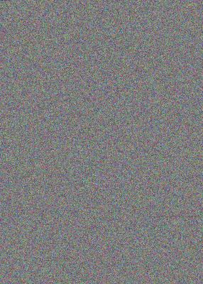 A project guide to sponges, worms, and mollusks cover image