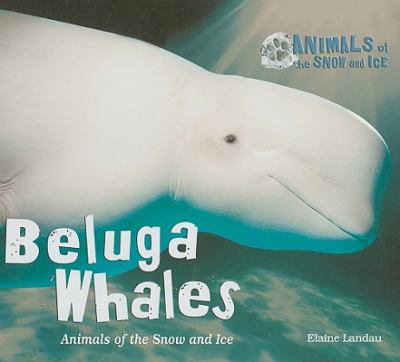Beluga whales : animals of the snow and ice  cover image cdn