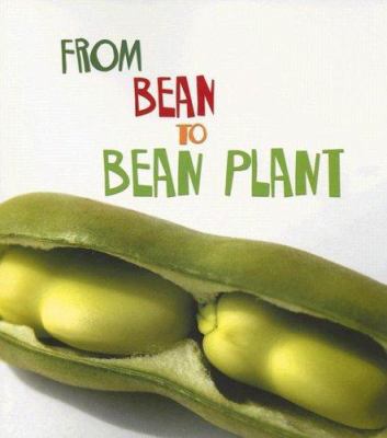 From bean to bean plant  cover image cdn