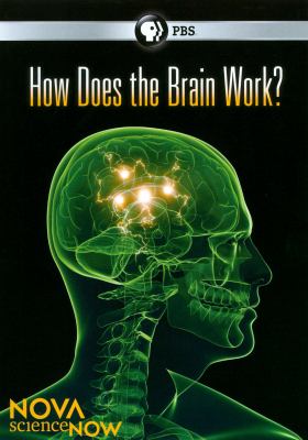 ScienceNow. How does the brain work? cover image cdn