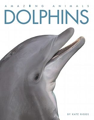 Dolphins  cover image cdn