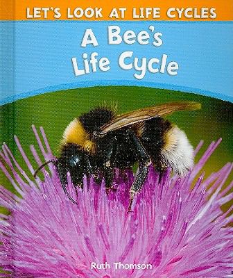 A bee's life cycle  cover image cdn