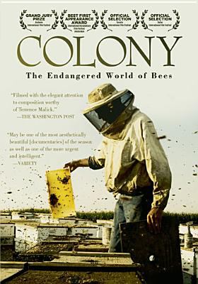 Colony cover image cdn